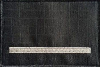 Dystynkcja specjalna SW - starszy szeregowy