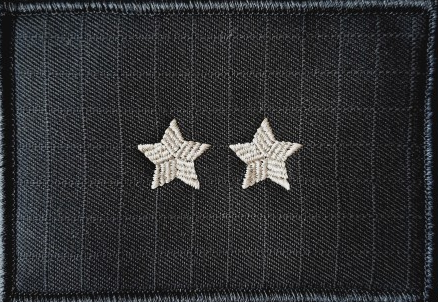 Dystynkcja specjalna SW - starszy chorąży