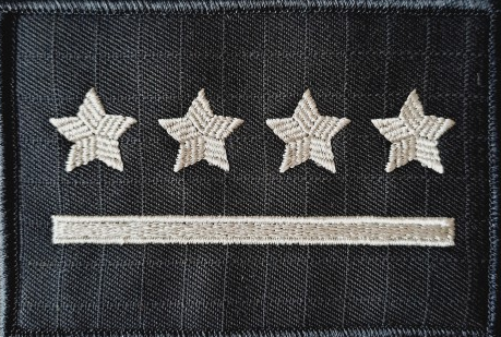 Dystynkcja specjalna SW - kapitan