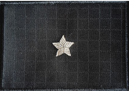 Dystynkcja specjalna SW - chorąży